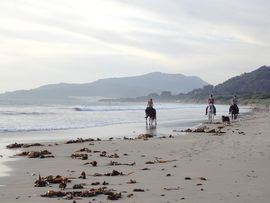 Tarifa Strand